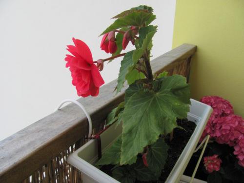 photo83.jpg photo83.jpg