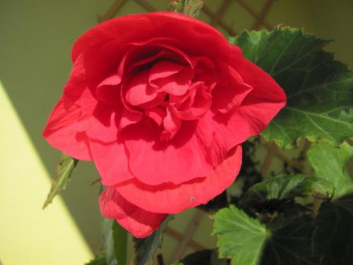 photo84.jpg photo84.jpg